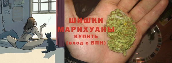 apvp Аркадак