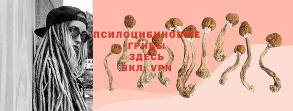 соль ск Арсеньев
