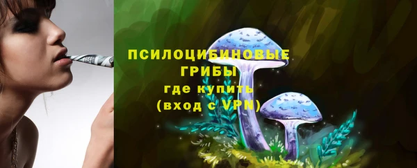 apvp Аркадак