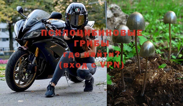 apvp Аркадак