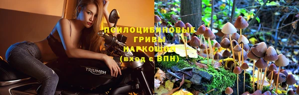 apvp Аркадак