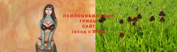 соль ск Арсеньев