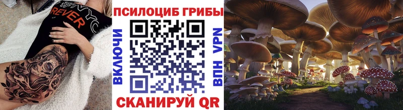 Псилоцибиновые грибы Psilocybe  Аркадак 